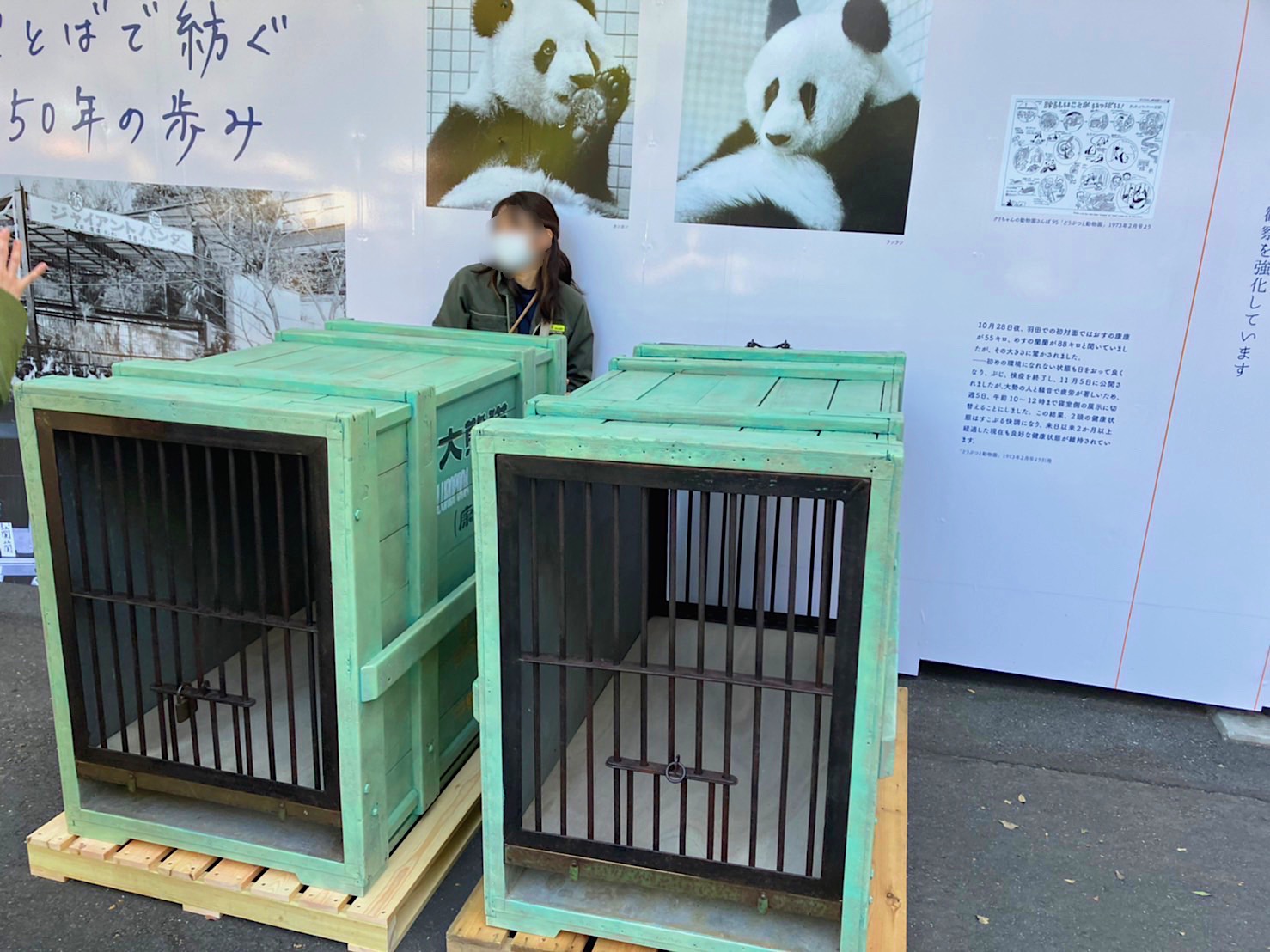 上野動物公園　康康・蘭蘭　輸送箱改修塗装
